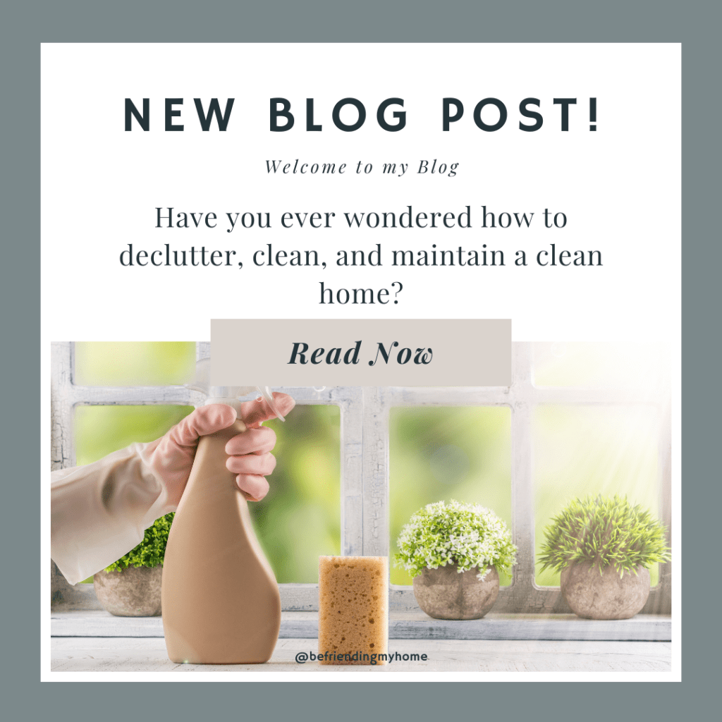 Healthy Living and Home Maintenance: Practical Advice for Busy&nbsp;People