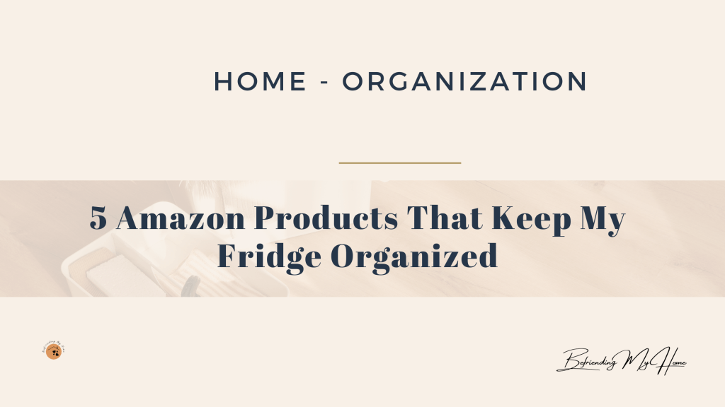 5 Amazon Products That Keep My Fridge Organized