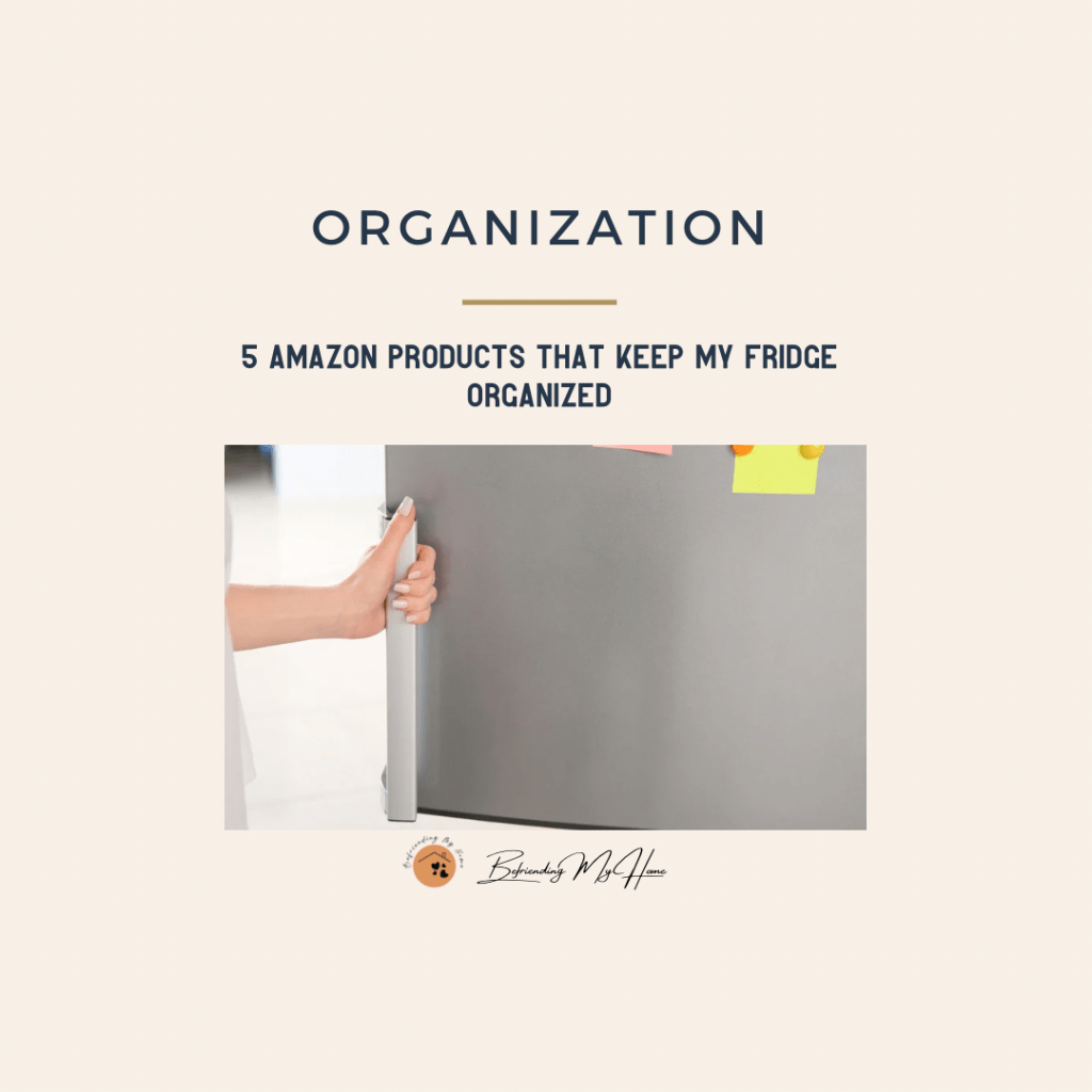 5 Amazon Products That Keep My Fridge&nbsp;Organized